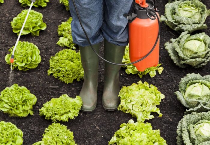 Cómo protegerte de los pesticidas en las frutas y verduras